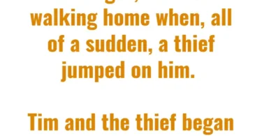 tim and thief funny joke