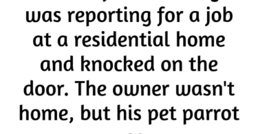 county council to fix pipes and parrot joke