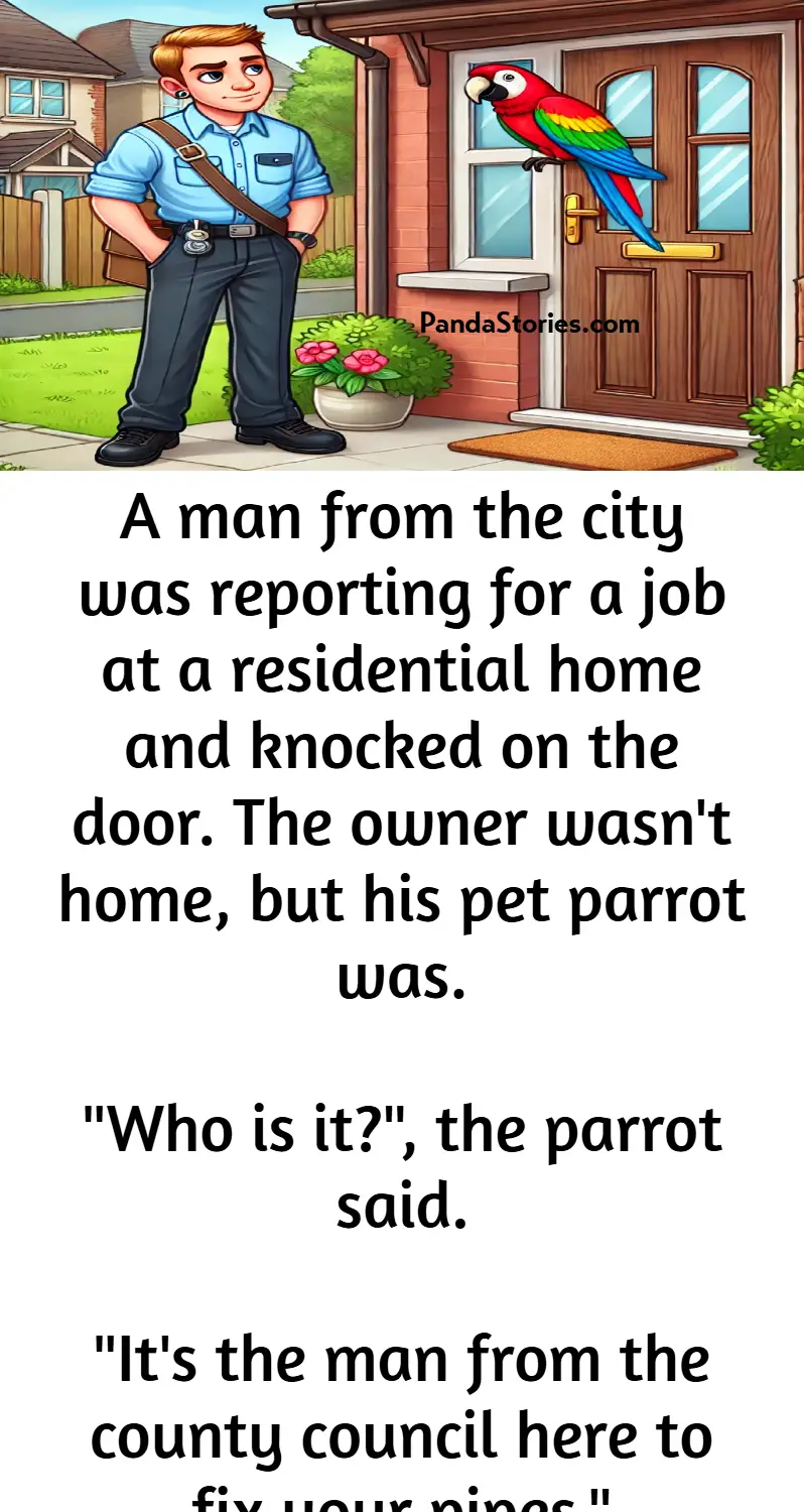 county council to fix pipes and parrot joke