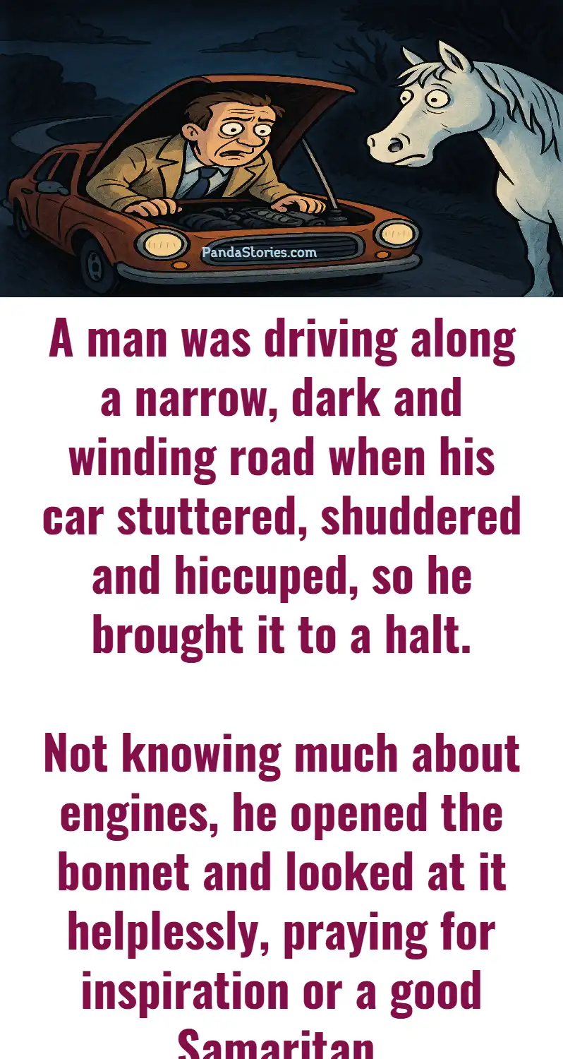 man driving engine white horse black horse joke