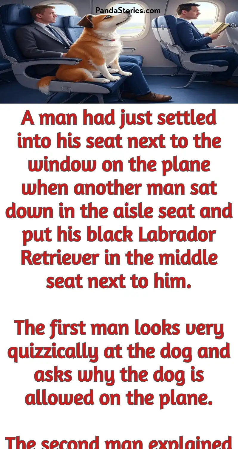 sniffing dog on a plane joke